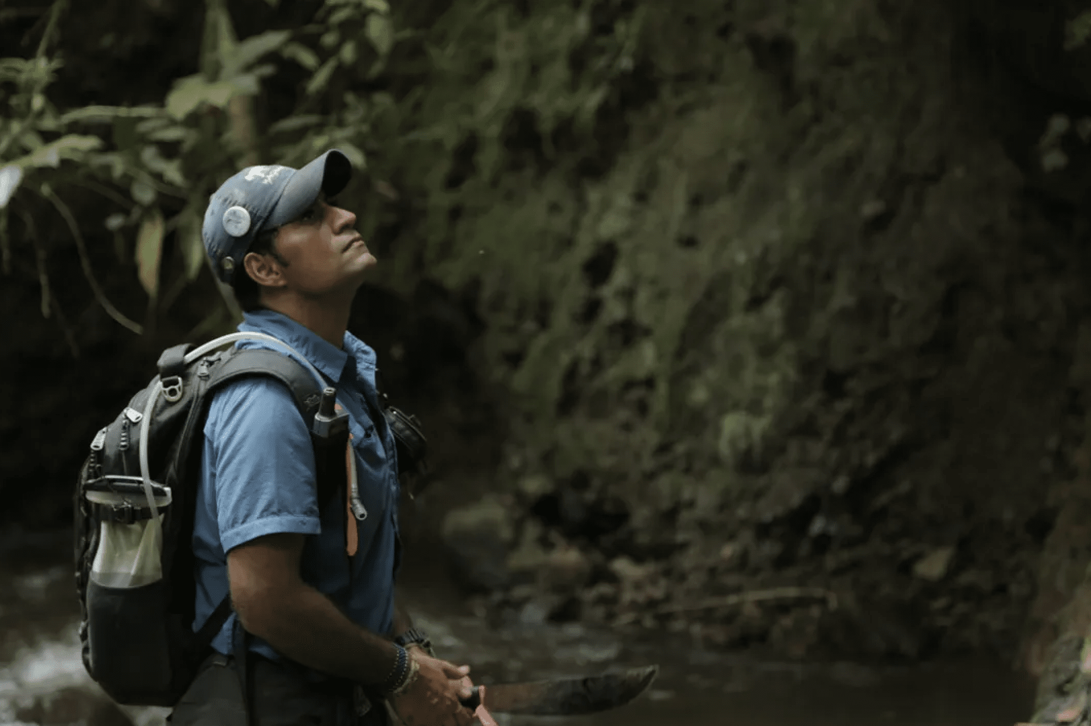 Jaguars in Panama with Ricardo Moreno